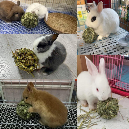 Bunny Grass Toy 4 Pcs Natural Timothy Grass Rabbit Chew Balls