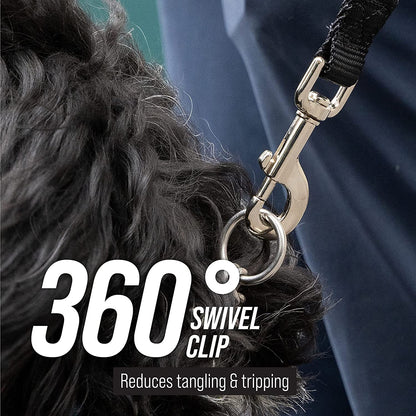 Free Range - 3/4 Inch Nylon Training Leash - for Large and Medium Dogs - Long Lead with Handle - Great for Training, Play, Camping, or Backyard (50 Ft, Orange)